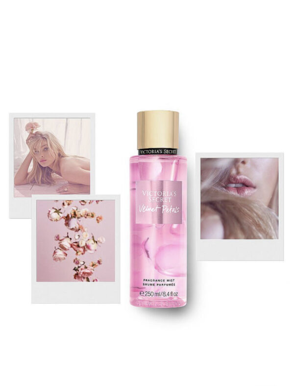 Mist Velvet Petals